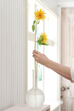 名古屋駅前にあるタカラスタンダードのショールームの詳細と魅力